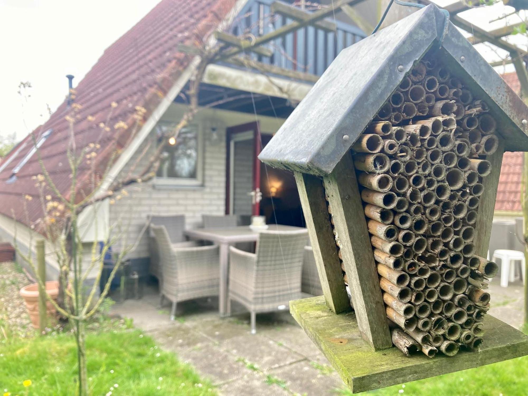 De Druif 6 Pers Holiday Home Close To The National Park Lauwersmeer Anjum ภายนอก รูปภาพ